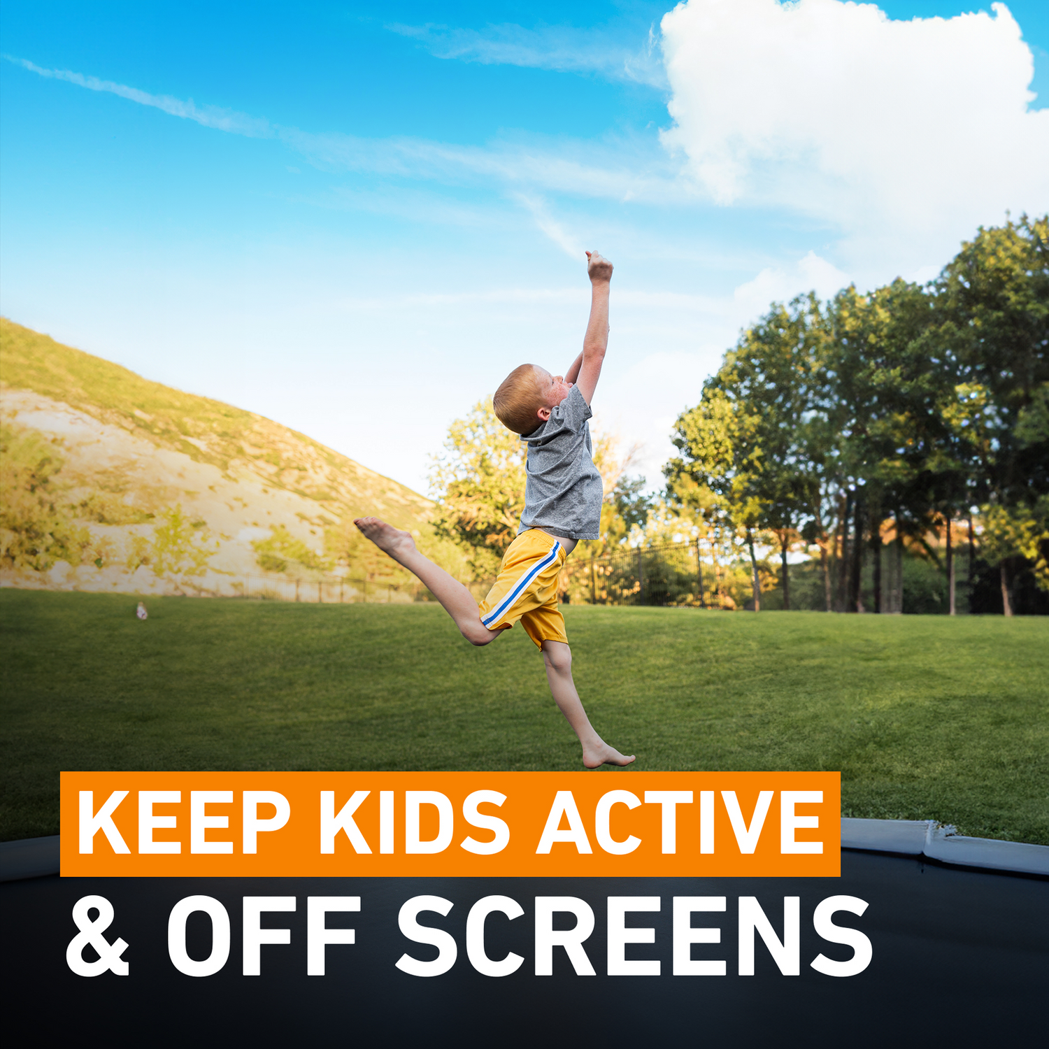 Rectangle Pro-Line Avyna In-Ground Trampoline - Rainbow Play of NC