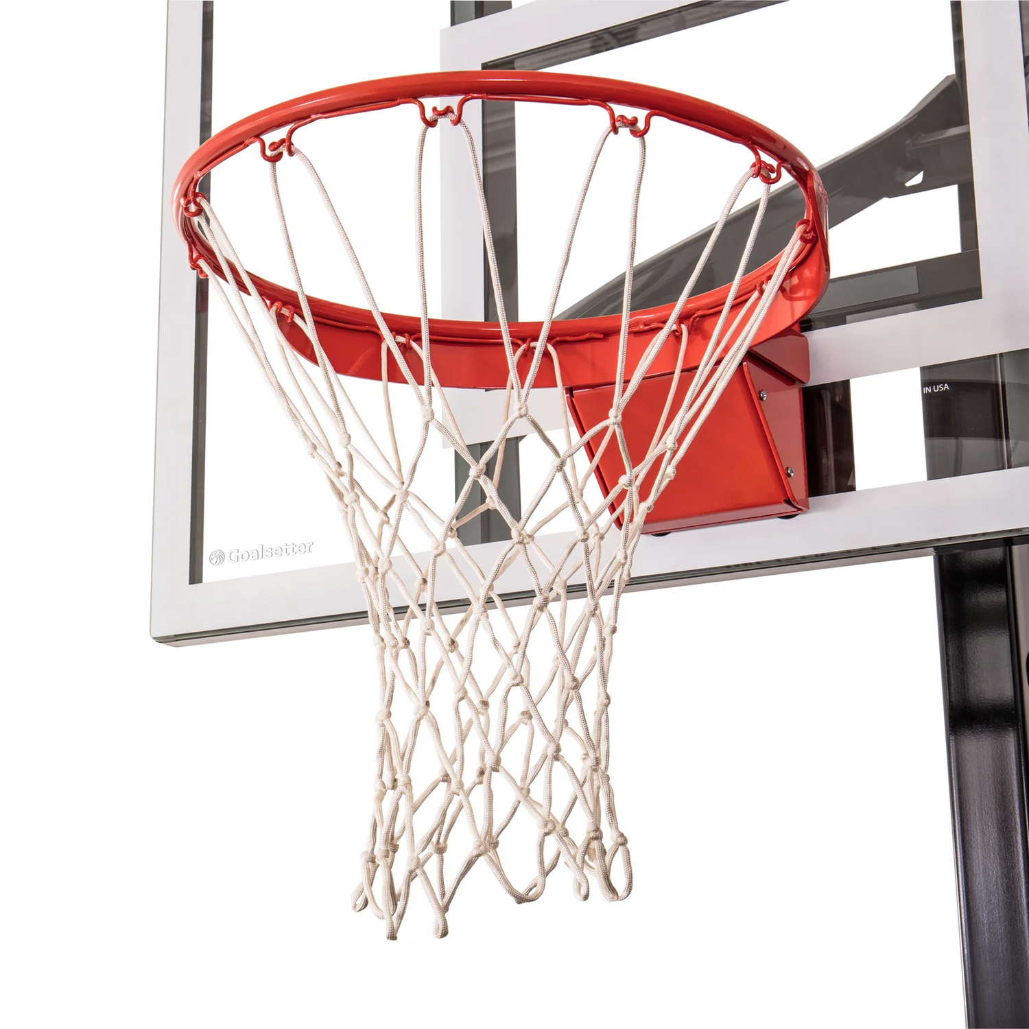 Contender - Rainbow Play of NC