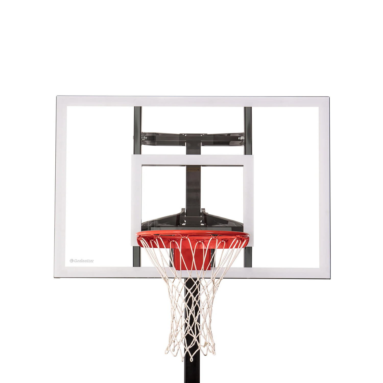 Contender - Rainbow Play of NC