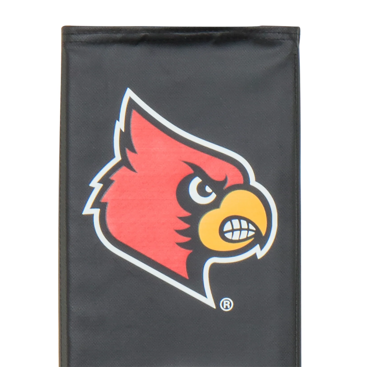 Collegiate Basketball Pole Pads - Rainbow Play of NC
