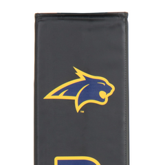 Collegiate Basketball Pole Pads - Rainbow Play of NC